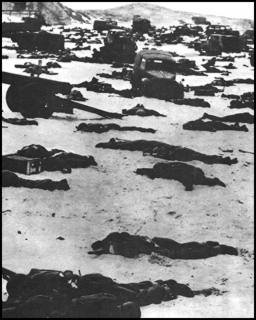 c-une%20des%20plage%20de%20dunkerque.jpg